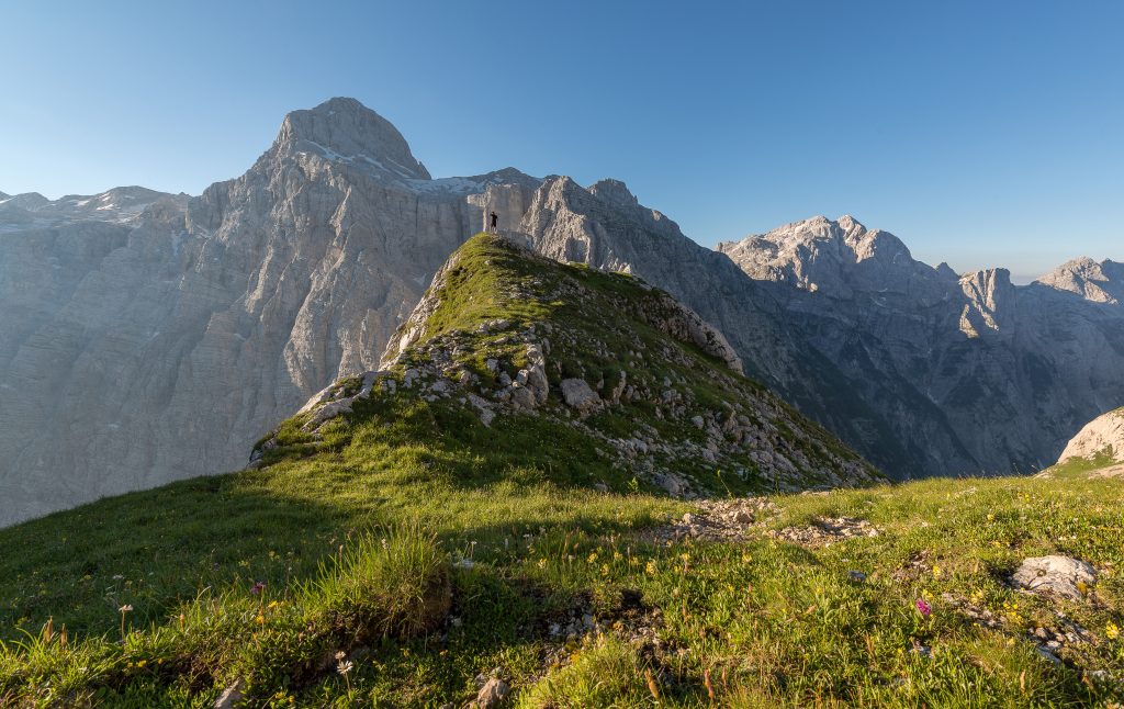 Paysage de montagne en été